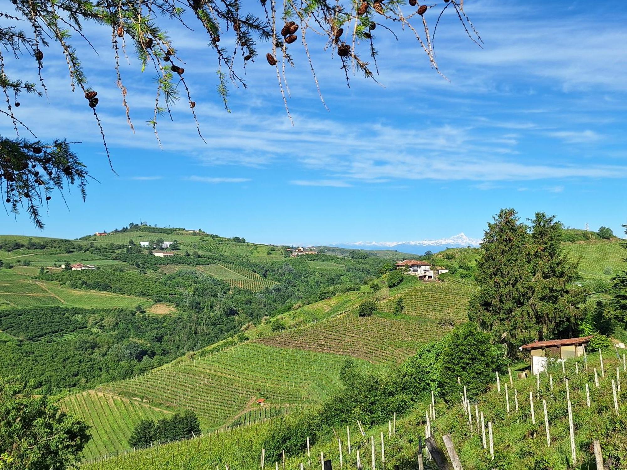 Agriturismo Ca Trinche Camo Exteriér fotografie