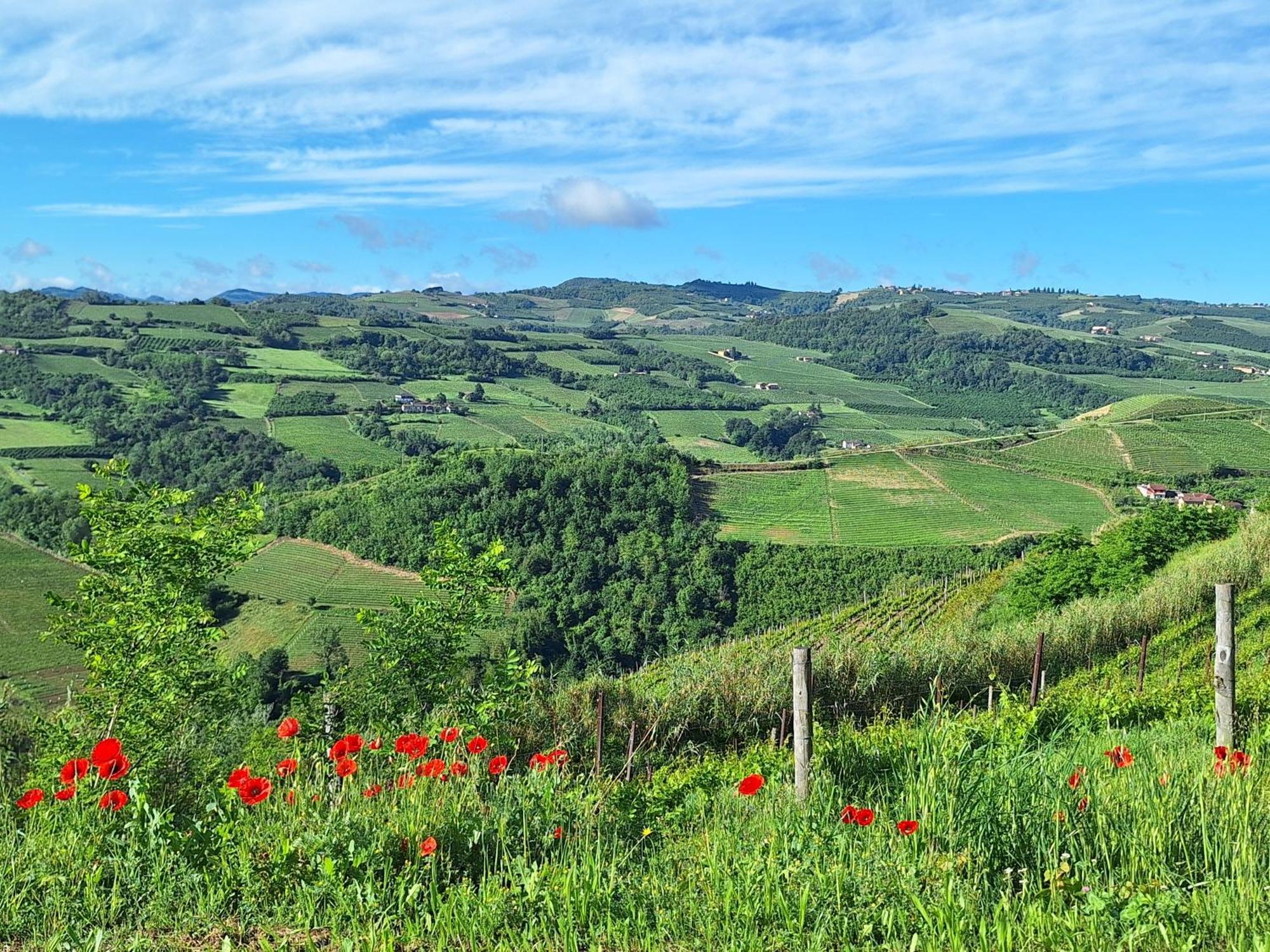 Agriturismo Ca Trinche Camo Exteriér fotografie